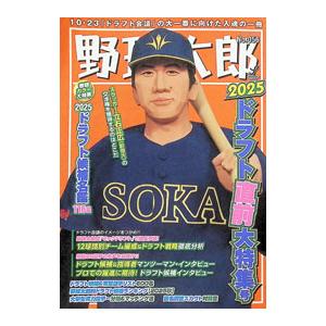野球太郎 No．056／イマジニア株式会社ナックルボールスタジアム