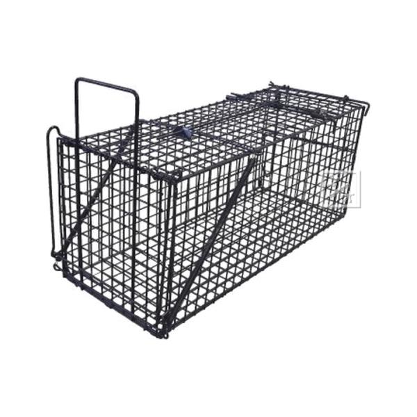 シンセイ 捕獲器 アニマルキャッチャーM （TA26） 餌吊式 LSL-HB-M 幅26×奥行68×...