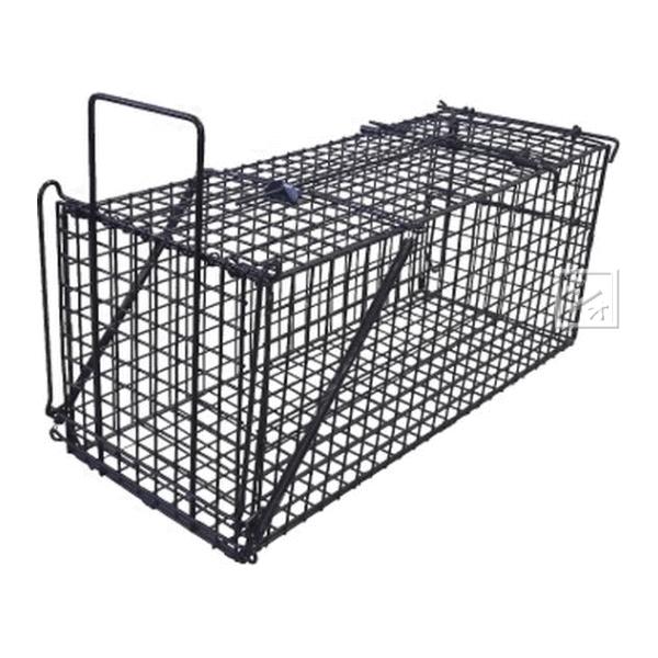 （法人配送限定） シンセイ 捕獲器 アニマルキャッチャーL （TA36） 餌吊式 LSL-HB-L ...