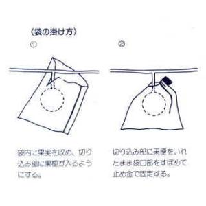 第一ビニール 果実袋 梨用 20枚入×6セット...の詳細画像2