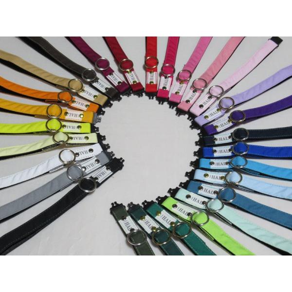 猫（ねこ）ちゃん用迷子札にもなる28カラー15mm