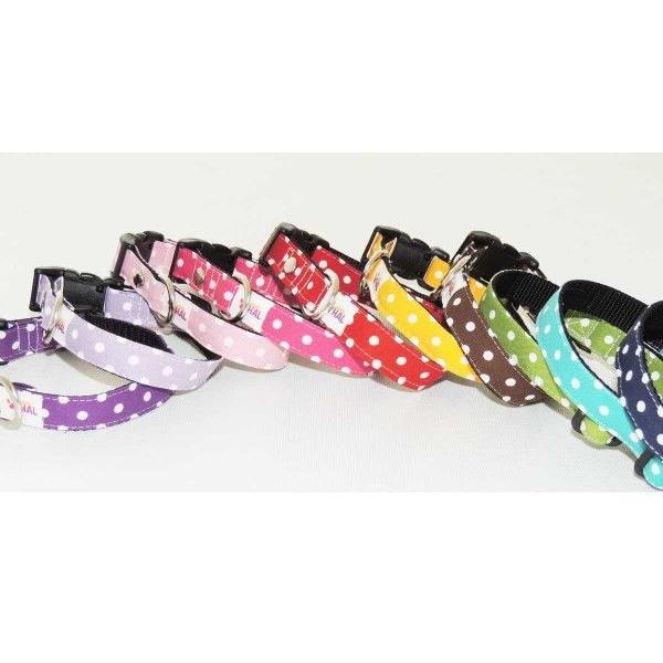ドット柄首輪