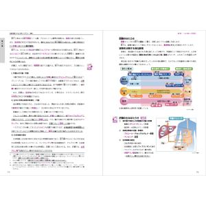 530本超の解説動画付き:Yahooココデル試...の詳細画像5