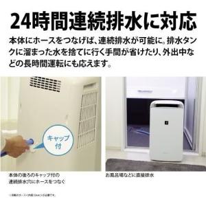 冷風・衣類乾燥除湿機・コンパクトクール【旧品・...の詳細画像3