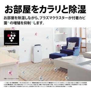 冷風・衣類乾燥除湿機・コンパクトクール【旧品・...の詳細画像5