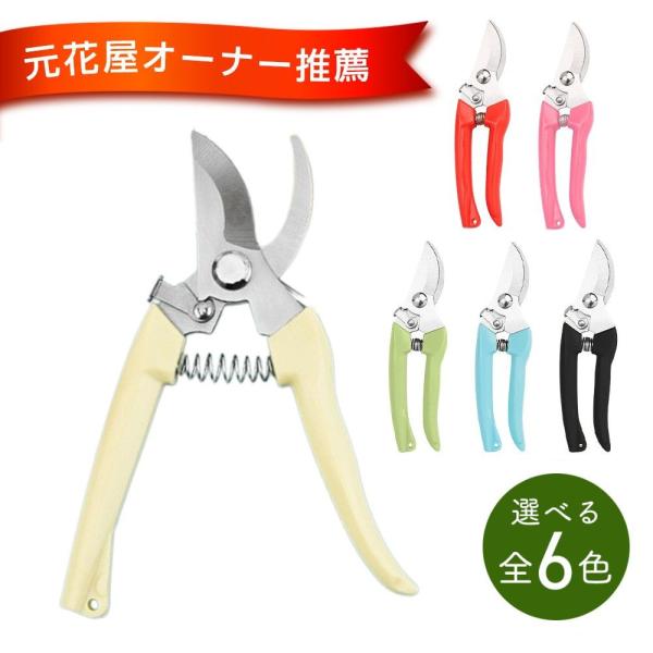 選べる6色 剪定ばさみ 小型 軽量 安全ロック付 ステンレス 女性 握りやすい 剪定 はさみ 園芸用...