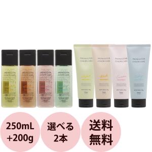 デンギモリ 【2種セット】デンギモリ 珍気シャンプープレミアム 珍気