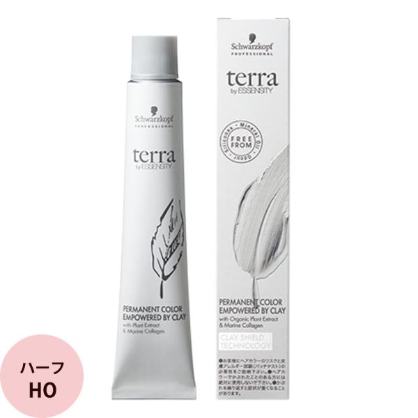 シュワルツコフ テラ byエッセンシティ ファッションシェード 第1剤 ハニー HO 85g ヘアカ...