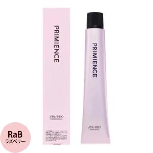 資生堂アルティストプリミエンス49本 SHISEIDO PROFESSIONAL（資生堂プロフェッショナル） 資生堂