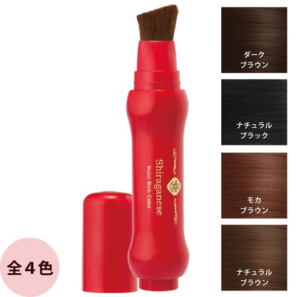 白髪隠し シラガネーゼ ポイントリッチカラー 20mL ヘアカラー 白髪ぼかし 白髪隠し 刷毛型 ブ...