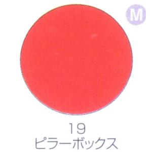 バイオスカルプチュアジェル カラージェル マット ピラーボックス 19