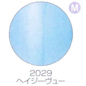 バイオスカルプチュアジェル カラージェル マット ヘイジューヴュー 2029