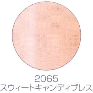 バイオスカルプチュアジェル カラージェル マット スウィートキャンディブレス 2065