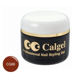 カルジェル CG66 カラージェル スモーキーオレンジ / 4g