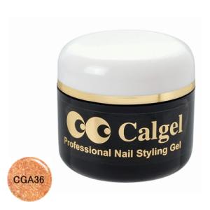 カルジェル CGA36 カラージェル リッチゴールド / 4g