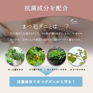 まつ毛 コーティング 美容液 オデット フェニ...の詳細画像5
