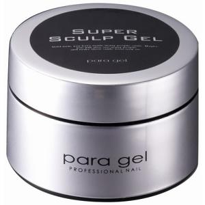 送料無料 EzFlow（イージーフロー）Aポリマー アクリルパウダー クリア