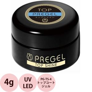 Raygel レイジェル トップジェル NEO / 25g : プロ用ヘアコスメnetsbee