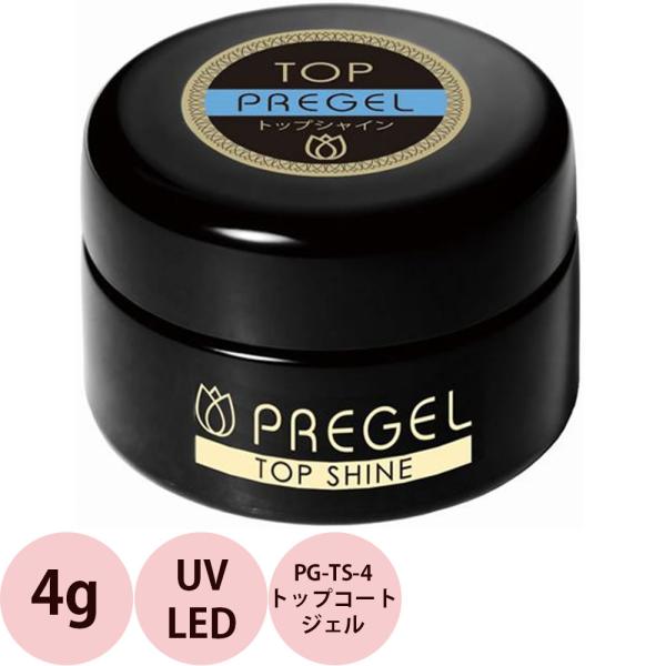 PREGEL プリジェル トップシャイン PG-TS-4 / 4g