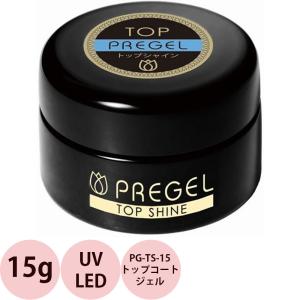 PREGEL プリジェル トップシャイン PG-TS-15 / 15g｜netsbee