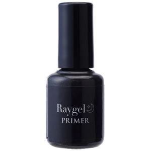 Raygel レイジェル トップジェル NEO / 4g （定形外 対応） : プロ用