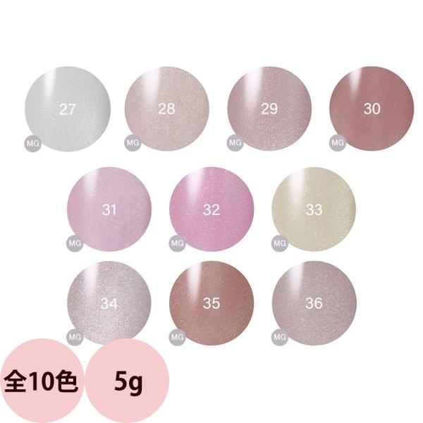 レイジェル マグネット カラージェル （全10色） 5g ジェルネイル カラージェル ネイリスト サ...