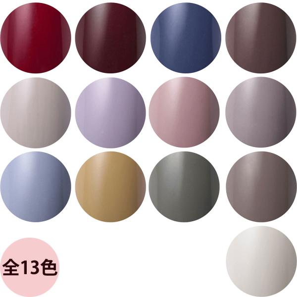 Raygel レイジェル カラージェル ヴィンテージカラー（全13色） / 4g （定形外 対応）