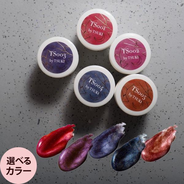 レイジェル カラージェル ディレクターシリーズ 全5色 TSUKI 4g ジェルネイル  爪 プロ用...