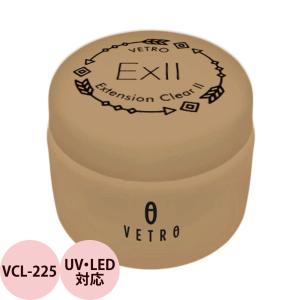 ベトロ No.19 vetro]プロテクトクリア フジ コンプリート FUJI