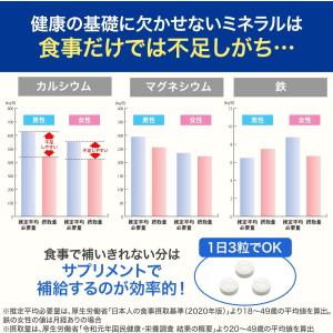 DHC マルチミネラル 徳用90日分 鉄 亜鉛...の詳細画像2