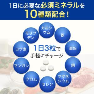 DHC マルチミネラル 徳用90日分 鉄 亜鉛...の詳細画像3