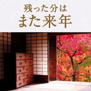 アースノーマット ノーマット取替ボトル エアゾ...の詳細画像5