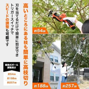 高枝切りバサミ 枝切りばさみ コードレス 充電...の詳細画像1