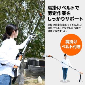 高枝切りバサミ 枝切りばさみ コードレス 充電...の詳細画像3