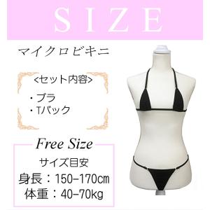 マイクロビキニ コスプレ セクシー 極小 メイ...の詳細画像4