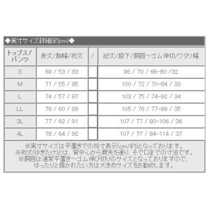 ウインドブレーカー 上下 メンズ レディース ...の詳細画像4