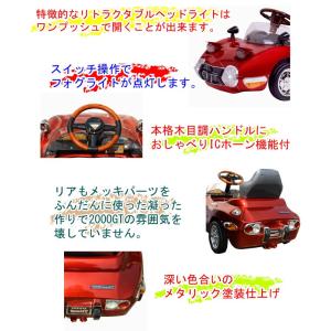 !激レア品!【送料無料 関東から関西まで】ミズ...の詳細画像3