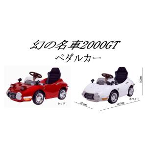 !激レア品!【送料無料 関東から関西まで】ミズ...の詳細画像5