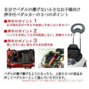 !激レア品!【送料無料 関東から関西まで】ミズ...の詳細画像2