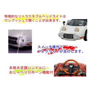 !激レア品!【送料無料 関東から関西まで】ミズ...の詳細画像4