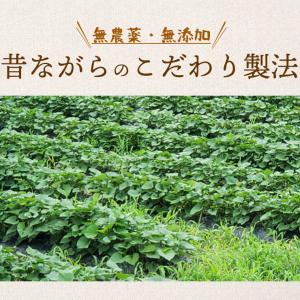 干し芋 京丹波産 紅はるかのあま〜い 京ほしい...の詳細画像5