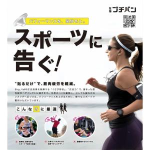 和光電研 プチバン (60粒入) 一般医療機器...の詳細画像1