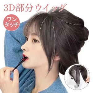 HAIR MONSTER LAB モンスターパウダー アッシュブラウン ( 6g