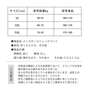 爆買 メンズチノパンツ ジョガーパンツ アイス...の詳細画像2