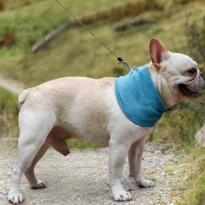 犬 暑さ対策グッズ 散歩 ペット用品 生き物 の商品一覧 通販 Yahoo ショッピング