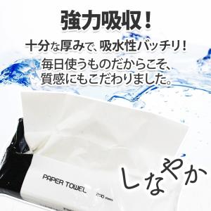 ペーパータオル RELIFE 中判サイズ 日本...の詳細画像2