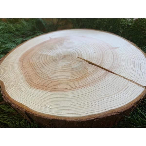 丹波ヒノキ 皮付き 直径20cm〜23cm 厚さ約2cm 1枚　