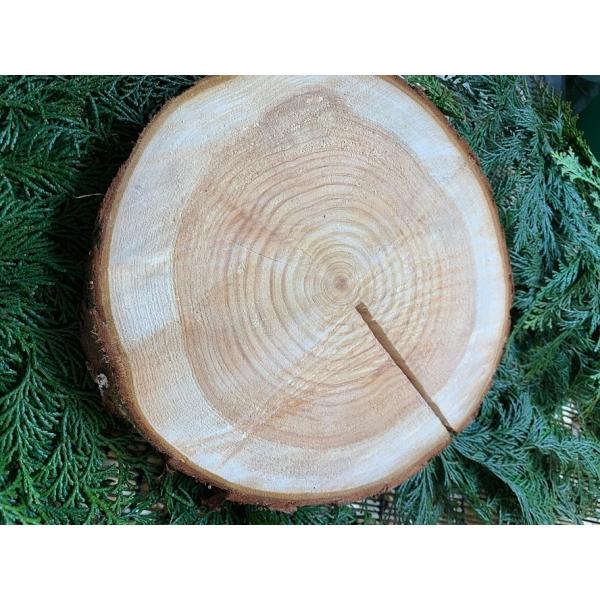 丹波ヒノキ 輪切り 皮付き 直径20〜23cm 厚さ約2.5cm 1枚