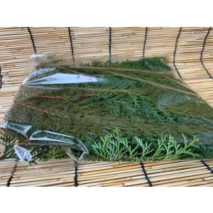 丹波産 ひのきの葉