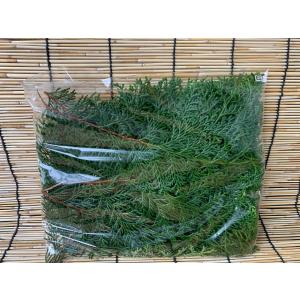 丹波産 ひのきの葉の詳細画像1